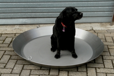 Stainless-steel swing pan 6010 SP